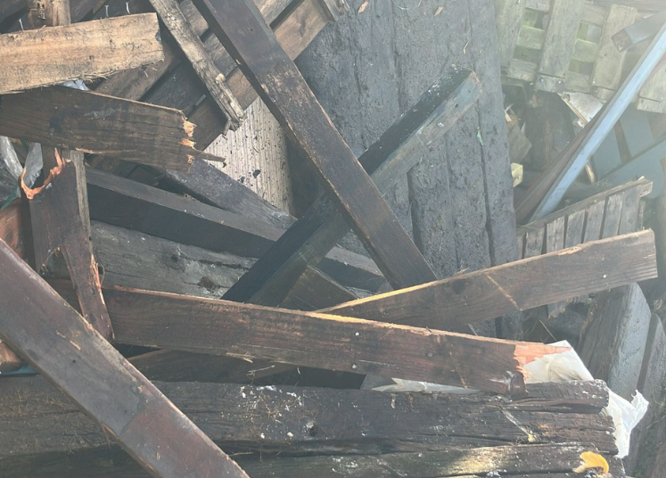 C-hout op een hoop bij Spelt Nieuwveen