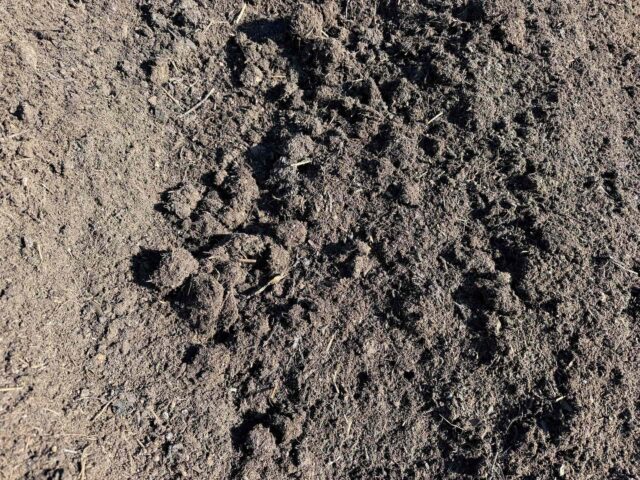 Compost (2)
