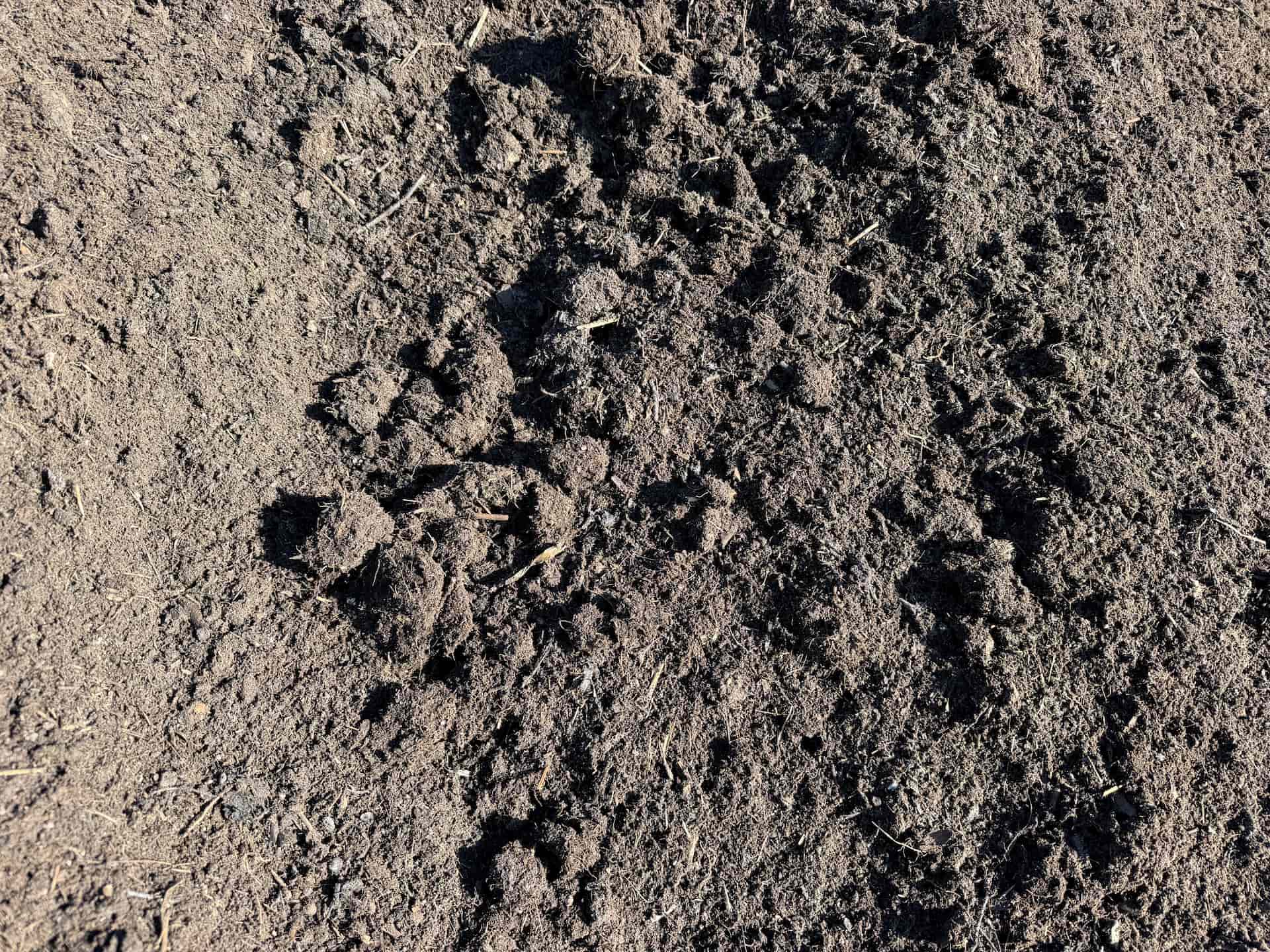 Compost (2)