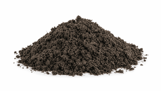 compost-studio